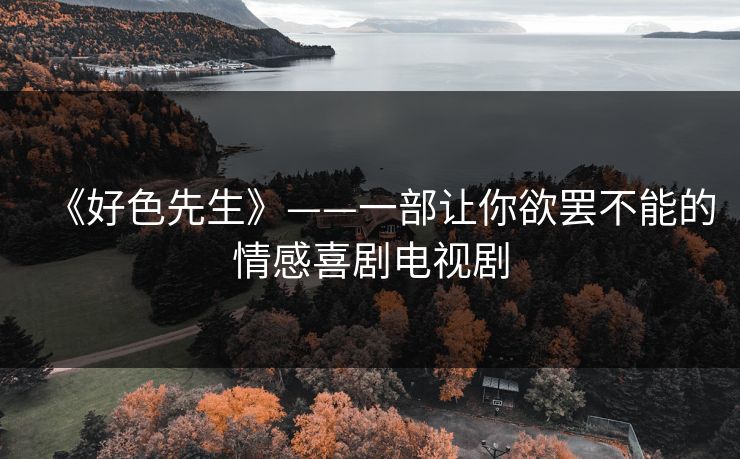 《好色先生》——一部让你欲罢不能的情感喜剧电视剧